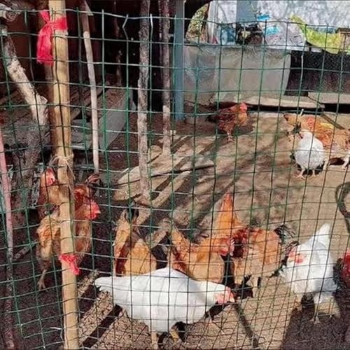 KAnduo Malla metálica para Jardin Valla de Malla for jardín, Malla de 3 cm, diámetro del Alambre de 1,5 mm, Cerca de Alambre galvanizado(1.2x18m)