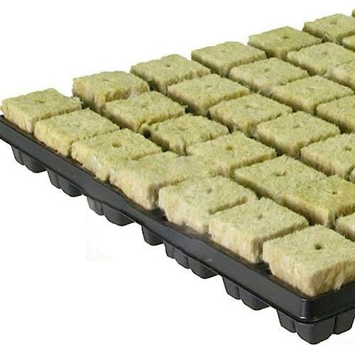 100 cubi di coltura , substrato di coltura senza suolo, substrato di coltura per talee, clonazione, propagazione delle piante