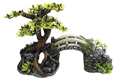 NOBBY 28621 Aqua Ornament Brosetter med Bonsai med växter 20, 3 x 9, 0 x 14, 0 cm