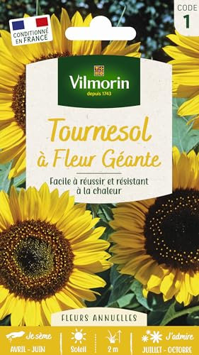 VILMORIN Tournesol fleur géante Vilmorin série 1, Jaune/Marron