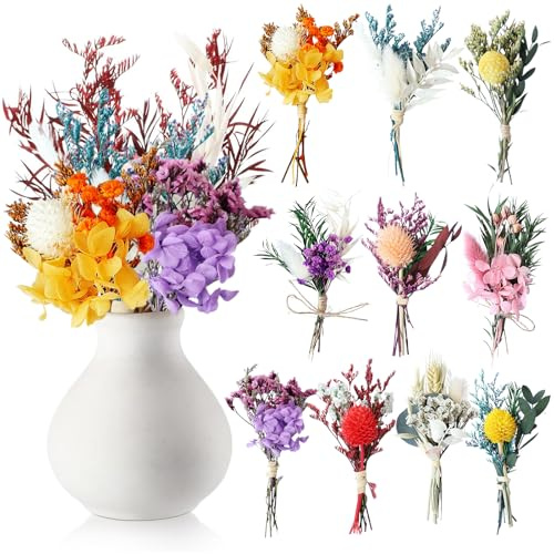 Noaxylic 10 Mazzi Fiori Secchi Naturali, Mini Bouquet di Fiori Secchi, Flowers Naturali Misti Decorativi, per Matrimoni, Feste, Cornici, Artigianali, Scatola Regalo, Decorazione per Torte(A)