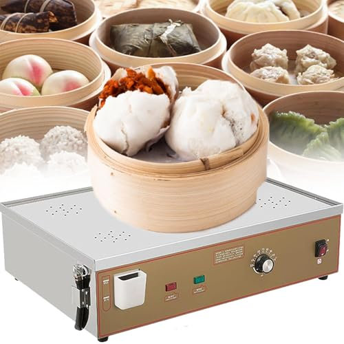 JJENXYYDS Vaporizadora Comercial para Alimentos, máquina de Acero Inoxidable para cocinar al Vapor en el hogar, vaporera eléctrica de 2/4/6 Orificios para cocinar Platos en la Cocina,Six-Hole