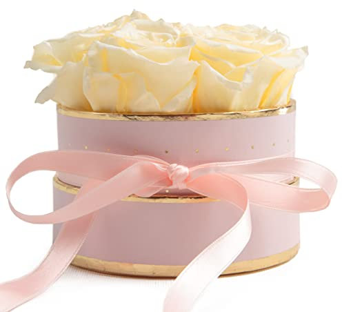 ROSEMARIE SCHULZ Heidelberg Beste Mama - Scatola per fiori rotonda con rose infinite, colore rosa, 4 rose eterne, diametro circa 10 cm, durata 3 anni, regalo per mamma (rosa-beige)