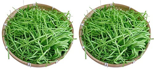 TASHELLS 2 Stück OsterköRbchen, Osterkorb Zum Befüllen,22 * 7cm,100g Ostergras Grün, Osternest,Ostern Deko,Ostern Geschenkkorb