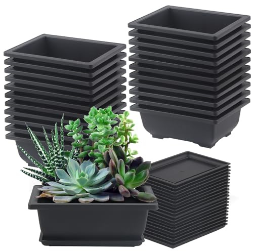 FAAING 20 stycken bonsai träningskrukor av plast, 16,5 x 12 x 6 cm bonsai krukor med underlägg, bonsai skål liten blomkruka för trädgård, balkong