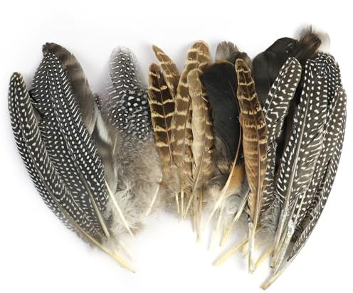 NHPY 50 Stück Natur Federn Zum Basteln, Federn Hühnerfeder, Deko Bastelfeder Fasan, Gemischte Federn Für DIY Traumfänger Kostüm Karneval Masken Halloween Kranz,12-20Cm (4 Größe)