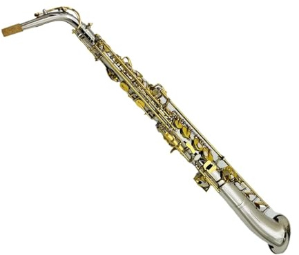 Professionell Saxofon Altsaxofon Med Rak Rörsaxofon Mässingspläterad Professionell Träblåsinstrument Med Fodral Och Tillbehör