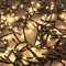 700 Cluster-Lichterkette LEDs Innen und Außen Trafo warmweiß Weihnachtsbeleuchtung Kabel Dunkelgrün