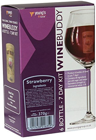 Winebuddy Strawberry Fruit Wine Kit - 6 Bottles in 7 Days - Young's Home Brew