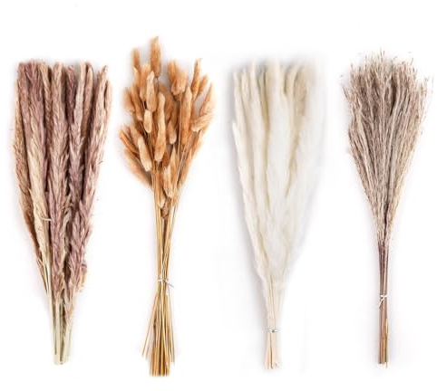 BigKego 100 st naturliga torkade pampasgräs kaninsvansar torkade blommor pampasgräs bukett dekor vass gräsbukett för bröllop boho dekoration vardagsrum sovrum