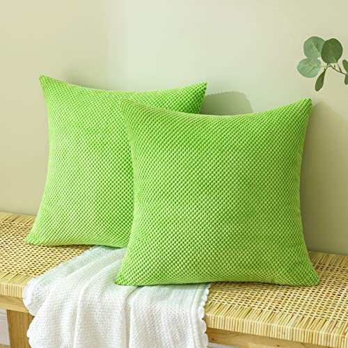 EMEMA Kordsamt Örngott dekorativa granulat soffkuddar prydnadskuddar örngott soffkuddar överkast kudde överdrag dekorativ kudde för soffa vardagsrum set om 2 45 x 45 cm frukt grön