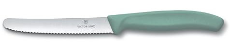 Victorinox Coltello da tavola Swiss Classic | 1 pezzo | verde menta | Swiss Made | ideale anche come coltello da colazione