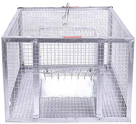 NANANA Piège Animal en Fil Fer Stable Et sans Cruauté Vivant, Capturant Chat Sauvage, Lapins, Écureuils, 30X22x15cm