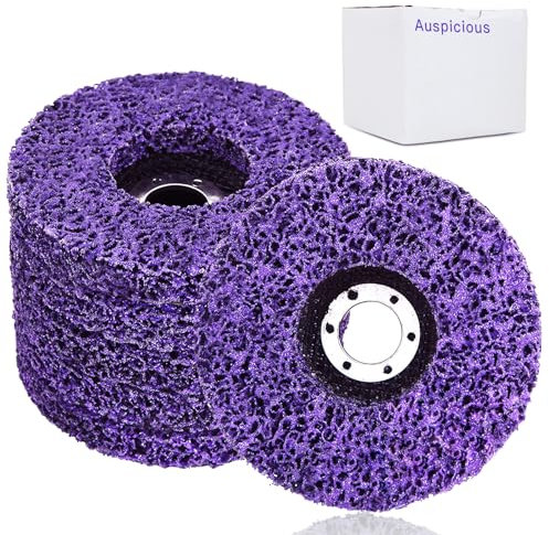 Auspicious 5 Piezas Discos de Limpieza gruesos 125×22mm - Disco CSD, Diamante, Carburo de silicio, Nailon, Mediano, Adherido, Amoladora Angular