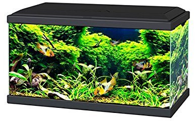 Ciano Black Aqua 60 LED Tropical Glass Aquarium - Includes Filter, Lights & Heater 58L