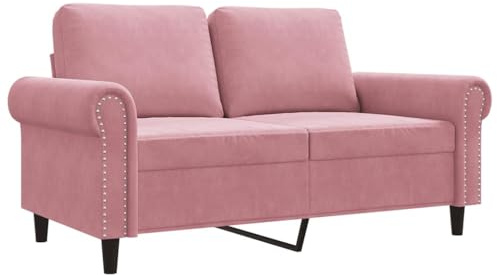 vidaXL Canapé à 2 Places, Siège avec Accoudoirs et Dossier, Fauteuil TV avec Oreillers, Meuble de Salon Salle de Séjour, Moderne, Rose Velours
