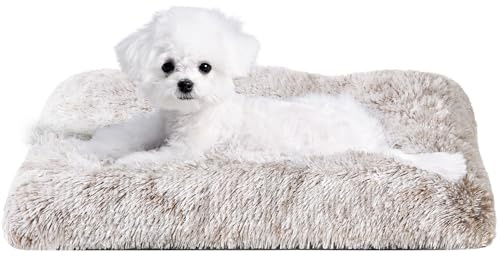 EHEYCIGA Felpa Cama de Perro Pequeño 60x45x7.5 cm, Colchon y Colchoneta Perro Lavable, Cama Gato Suave para Invierno, Marrón