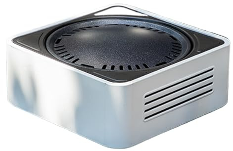 Bärbar kolgrill - kompakt grillspis - minigrill, för camping innergård trädgård resa picknick inomhus och utomhus för fester