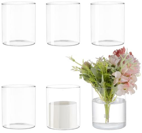 BENECREAT 6 Pcs Vases Cylindres en Verre, Bouteilles Transparentes pour Plantes Hydroponiques 10 cm (H) X 8.4 cm (L)., Vases de Centres de Table Décoratifs Modernes pour Micro Paysage, Fleur, Maison