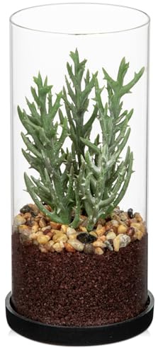 Arborus Plantas suculentas artificiales en jarrón de vidrio transparente de 20 CM, pequeñas plantas suculentas falsas decorativas, plantas artificiales para interiores, plantas de plástico para