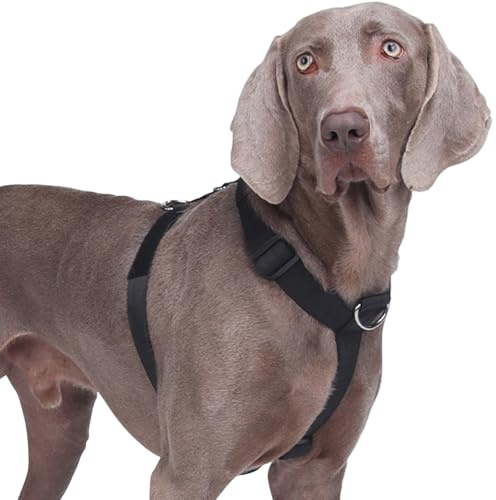 Anti-drag hundsele, tungt bärkraftigt, taktiskt hundsele, justerbart, mjukt fodrad husdjursutrustning för medelstora och stora hundar, träning och promenader, lättvikt och