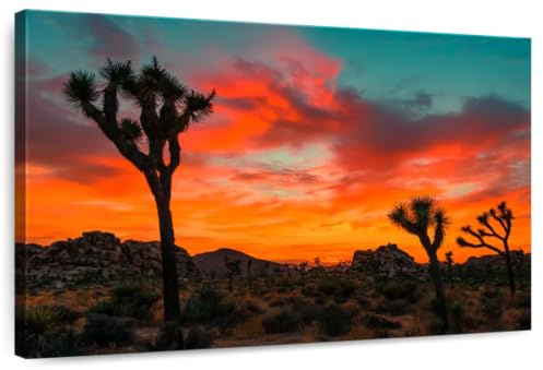 ElephantStock - Sunset Yucca Palms Wall Art - Horizontal Canvas Wall Art - Hallway Wall Decor - Photography Places Canvas Art - Brown And Orange Decor - 39 x 26