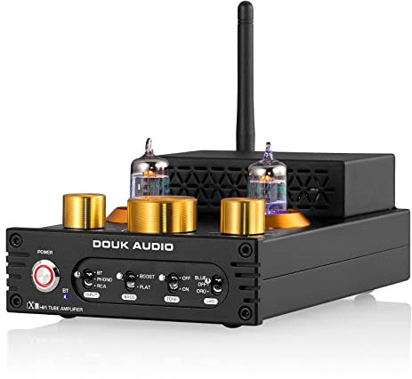 HiFi Stereo Bluetooth 5.0 Vacuum Tube Amplifier MM Phono Amp for Turntables 320W