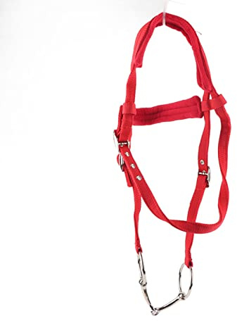 Cryfokt Harnais de Rênes de Cheval Réglable et Durable, Coussin Doux Rouge pour L'équitation, en Cuir