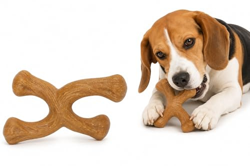 Jouet Chien - Jouet à mâcher saveur bœuf - Nyl'o Wood Forme X - Fibres de Bois et Plastique - Soin Dentaire pour Chiens - Flamingo
