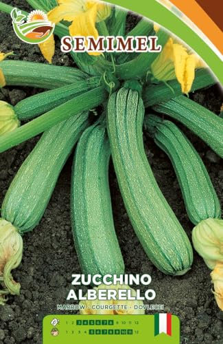 Zucchino Alberello - Semi di Zucchino Verde Chiaro, Pianta Eretica e Molto Produttiva, Coltivabile in Verticale Semina da Marzo a Luglio 2 confezioni