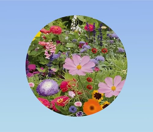 100 graines mélange fleurs gazon jardin japonais - soucis -zinnia -centaurée - lin -sauge ...