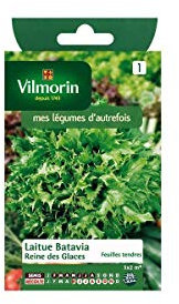 Vilmorin - Sachet graines Laitue Batavia Reine des glaces