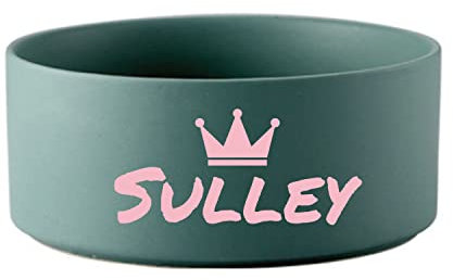JMIPET Cuenco de cerámica personalizado para perros, nombre personalizado para mascotas, cuenco de cerámica para gatos, cuenco de alimentación para cachorros, parte inferior antideslizante, no se