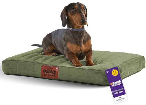 Slumberdown Orthopedic Small Dog Bed - Supportive, Cushioned & Washable Crate Mattress for Dogs & Cats | UK-Made, Joint & Pressure Relief, Edge-to-Edge Support, Green