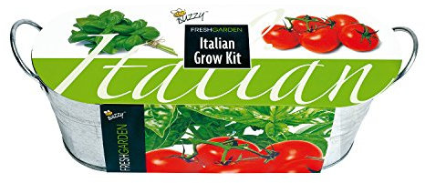 Anzuchtset Italiano in Zinkwanne - Tomate und Basilikum