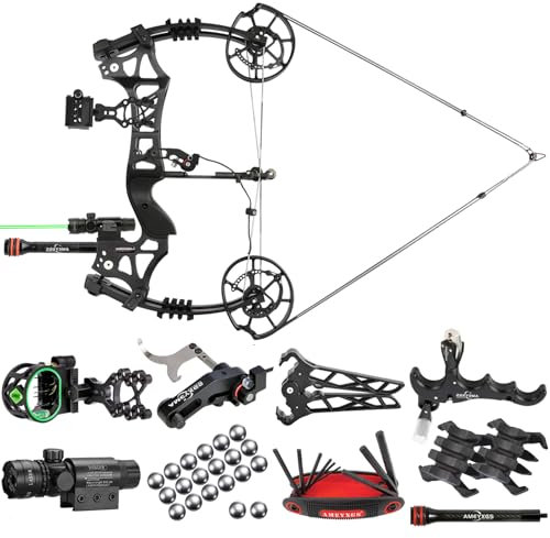ZSHJGJR Compoundbogen Set Dual-Use Compound Bogen für Pfeile & Stahlkugeln - Sportbogen Compoundbogen für Jagd & Training/Pfeil und Bogen Set mit Zubehör/Rechts- oder Linkshänder Bogen (Set 2)
