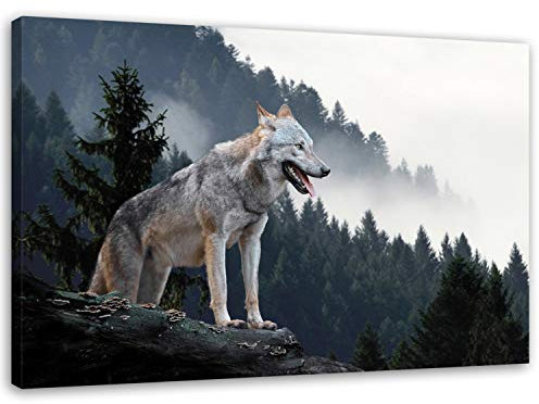 Feeby. Wandbild - 1 Teilig - 40x60 cm, Leinwand Bild Leinwandbilder Bilder Wandbilder Kunstdruck, WOLF, NATUR, GRAU