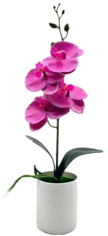 FACAIIO Orquídea artificial Phalaenopsis Bonsái, planta de orquídea sintética realista en maceta, decoración del hogar y oficina, 37 x 18 cm