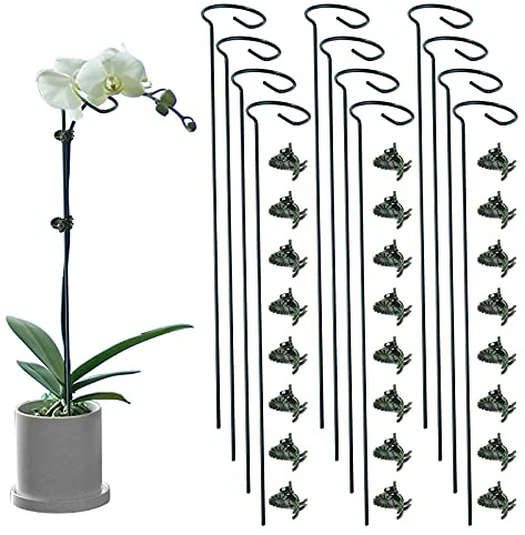 Lunhans 12 Pack Plant Support Stakes with 24 Pcs Plant Clips, Garden Single Stem Support Stake, Plant Cage Support Ring for Indoor Outdoor Flowers Rose Amaryllis Tomatoes Peony Lily Orchid (16 Inch)