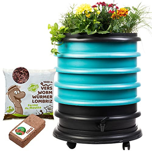 WORMbox | Wurmkomposter Wurmfarm Wurmkiste mit 4 Schalen Türkis + Pflanzgefäß + 500g Kompostwürmer / 1000 STK + 1 Coco | 64 Liter | Regenwurmkomposter, Kompostwürmer produzieren Wurmhumus