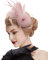 DRESHOW Fascinator Hüte für Damen Pillbox Hut mit Schleier Stirnband und Einer Gegabelten Clip Tea Party Kopfbedeckung