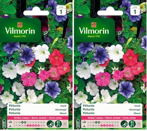 Vilmorin 5510541 Pétunia varie, Multicolore, 90 x 2 x 160 cm (Lot de 2)