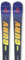 Fischer The CURV M-Plate + RC4 Z13 FF - 171 cm, Schwarz, Ski Alpin, Fortgeschritten, 118-70-101 mm, Taillierung, 16,5 m Radius