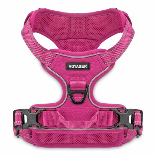 Voyager Dog Harness Dual Leash Attachment No-Pull Control Adjustable Soft but Strong Pet Harness for Medium and Large Dogs with 3M Reflective Technology, Fuchsia Nylon, S (Chest: 16-20)