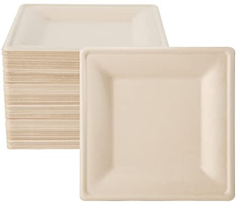 ECOLipak 125 Piecs Compostable Square Paper Plates, 6 inch, Nature