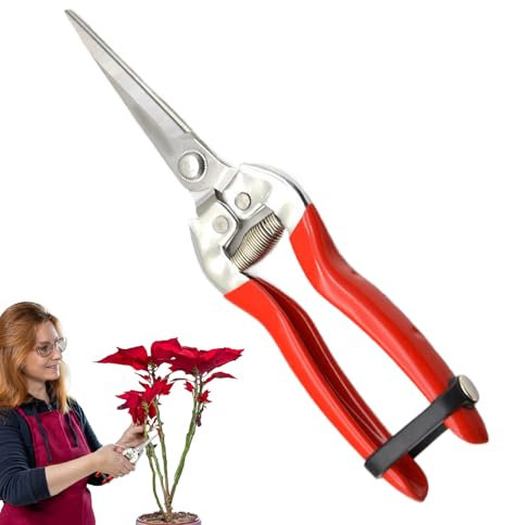 Tijeras De Podar | Tijeras De Podar Flores Con Acero Inoxidable - Tijeras Para Poda De Árboles Frutales, Viñas Y Modelado De Bonsáis