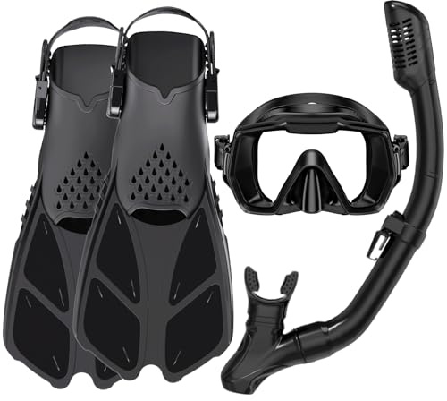 Adults Mask Snorkel Fins Set, Snorkeling Gear for Adult with Fins, Snorkel Sets with Flippers, Adult Anti Leak Scuba Gear with Adjustable Fins Diving Mask Full Dry Top Snorkel with Travel Bags