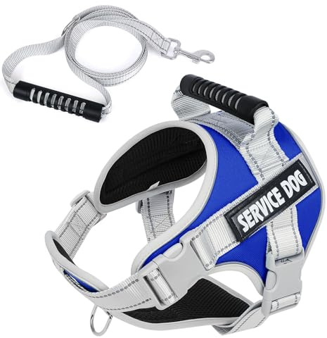 Arnés Perro con Correa, Arnés Antitirones Reflectante Cómodo Transpirable Arneses Chaleco para Perros Pequeños, Medianos y Grandes (Azul, L)