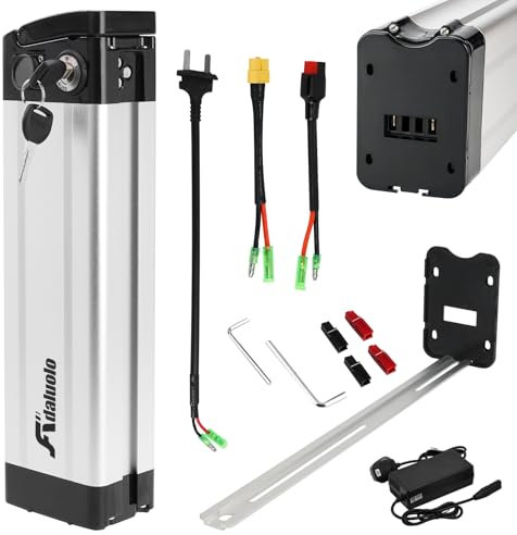Adaluolo 48V Ebike Battery with Charger, 48V 15AH Folding Electric Bike Removable Battery Replacement Silverfish Lithium Bicycle Pedelec Batteries with 2 Port, Safe Lock for 1000W 750W 500W Motor