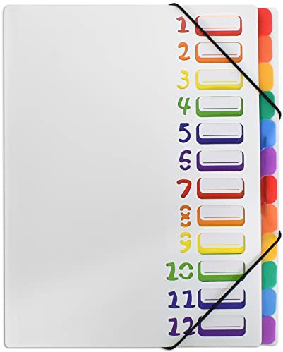 Erweiternde Dateiordner Projektmappe A4 Ordnungsmappe Pultordner 12 Fächer 24 Taschen Kunststoff Akkordeon Dokument Veranstalter bunte Dateiordner für Schule Bürobedarf (Weiß)